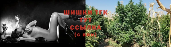 кокс Нея