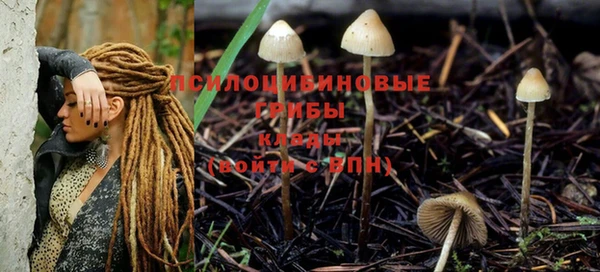 каннабис Абаза
