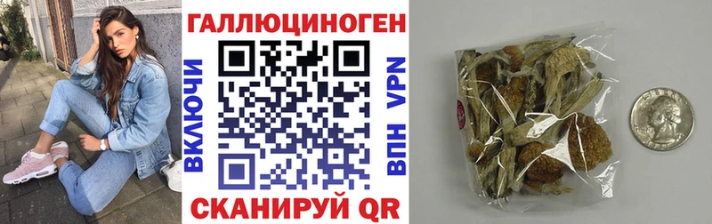 Галлюциногенные грибы Psilocybe  Уфа 