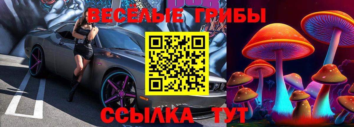 Псилоцибиновые грибы ЛСД Уфа